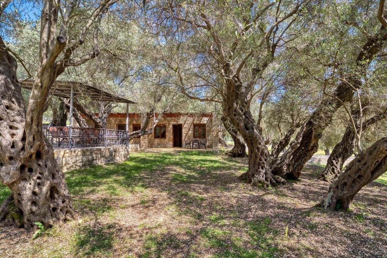 Stonehouse In Olives Daire Ülgün Dış mekan fotoğraf