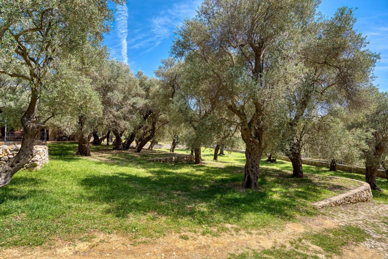 Stonehouse In Olives Daire Ülgün Dış mekan fotoğraf